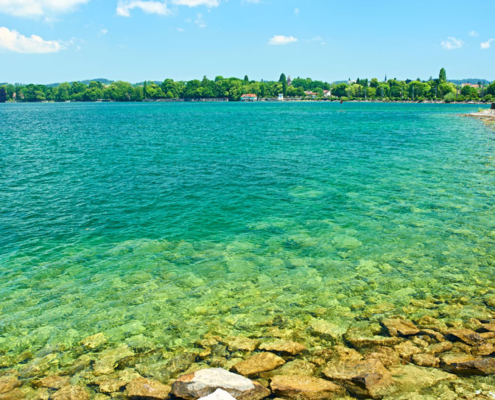 A lake surrounded by trees.