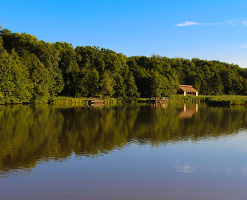 A lakeside home surrounded by trees.