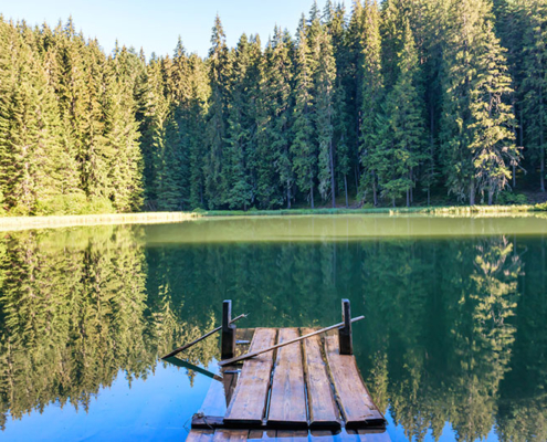 A dock on a lake surrounded by a forest.
