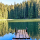 A dock on a lake surrounded by a forest.