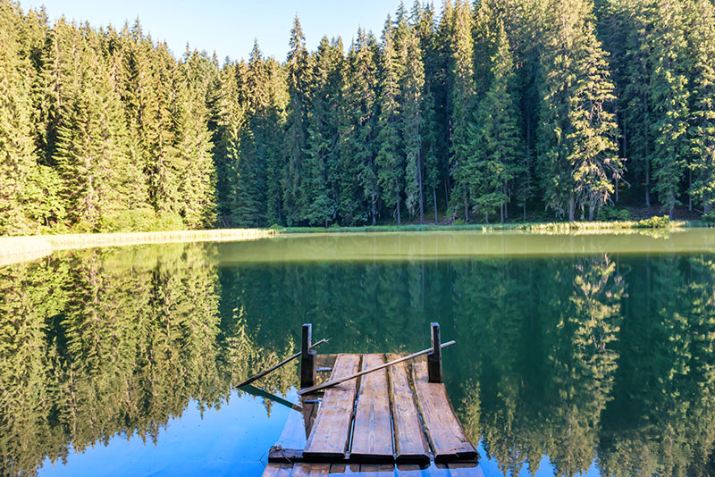 A dock on a lake surrounded by a forest.